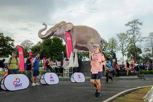 BIB: 
                            <button type="button" onclick="openModal(26528363)" class="btn btn-primary btn-sm float-right btn-popup" data-toggle="modal" data-target=".modal-high-quality">
                        <i class="fas fa-shopping-cart"></i> Add to Cart
                    </button>
                                            <button type="button" onclick="isThisMe(26528363, true)" class="btn btn-success btn-sm float-right btn-popup btn-isme hidden" data-toggle="tooltip" data-placement="bottom" title="นี่คือรูปของคุณใช่ไหม คลิกที่นี่เพื่อเอาเข้าอัลบั้ม">
                        <i class="fas fa-plus"></i> Add to album
                    </button>
                    <button type="button" onclick="isThisMe(26528363, false)" class="btn btn-warning btn-sm float-right btn-popup btn-isnotme hidden">
                        <i class="fas fa-ban"></i> Remove from album
                    </button>